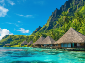découvrez nos conseils et astuces pour bien préparer votre voyage en polynésie. informations pratiques, meilleures périodes et activités incontournables pour un séjour inoubliable.